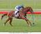 Oaks on agenda after O'Brien filly bolts in
